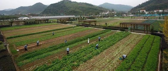 ### 喜马拉雅FM种植致富经:解锁农业新蓝海,聆听财富播种的声音