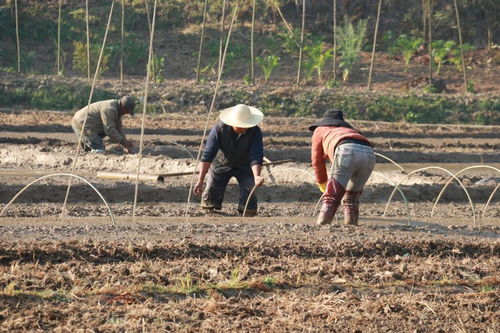 耕耘在春天里 各地抢抓农时开展春耕备耕