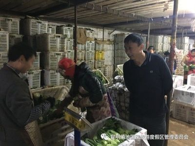 食品安全|大渔街道开展农产品生产质量安全专项检查_财经_网