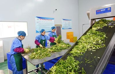 新天水-武山县综合施策打造优质绿色农产品全产业链示范高地