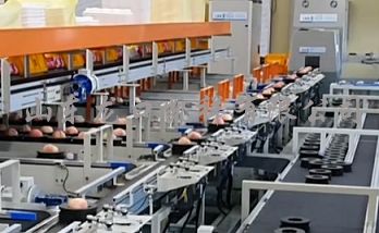 易碰水果无损伤分选流水线 助力水果产业发展
