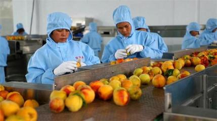 推进农产品深加工 助力脱贫攻坚