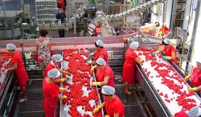 农产品批发“糙售”改“精卖”,同产量增收翻倍,农民还能拿补贴