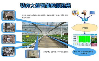 农业项目概述,实现农业生产与科技融合的创新之路