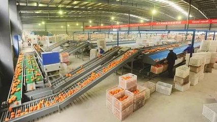 2019年发展农产品加工,可以申报的补贴有哪些?