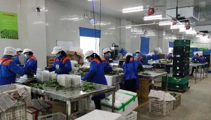 青浦:强化监督检查,多措并举守护市民“菜篮子”