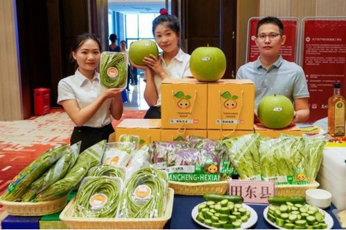 深桂携手共建供深农产品供应链,以产业兴旺助力乡村振兴