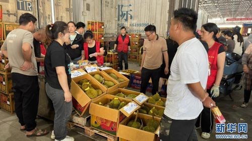榴莲迎来销售旺季 价格有望 继续下探