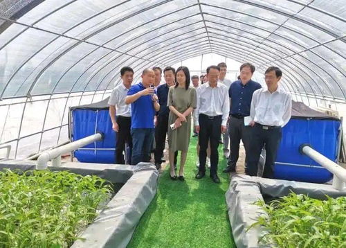 回眸2020,展望2021 太湖农业再出发