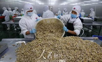 海外大卖 南通这 3 个农产品基地获评省级示范,你吃过用过吗