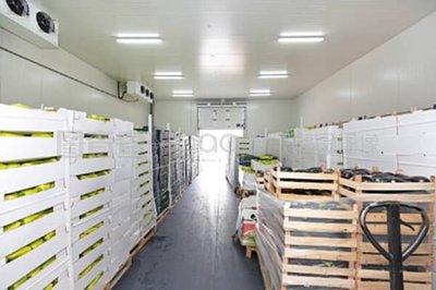 "农产品加工厂"搜索结果