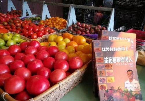 以产业化经营推动休闲农业发展——农产品的生产与经营