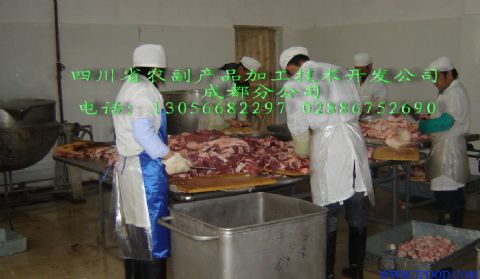 新型大豆蛋白猪肉脯设备供应信息 引领农产品加工科技革命