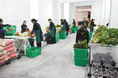 农产品四大流通模式 利弊分析与前景展望