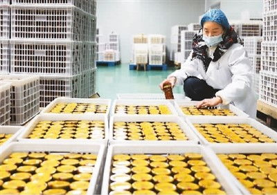 稳居第一，小小罐头闯世界 农产品的生产与加工之路