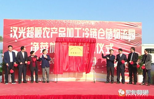 五华农产品冷链仓储物流园净菜加工厂投产，助力农产品生产转型升级
