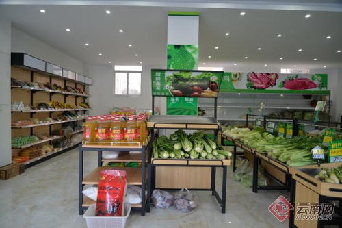 依托生物产业园打造绿色食品牌，助推农业创新发展