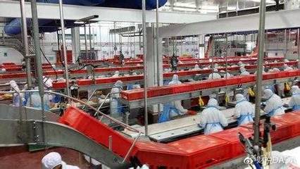 农产品增值税的税务处理